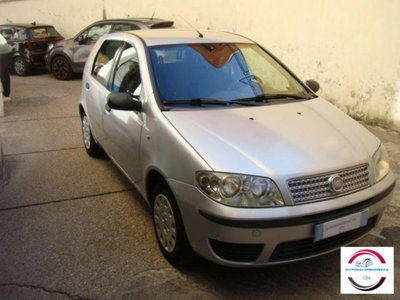 Fiat Punto Classic 1.2 5 porte Active usata