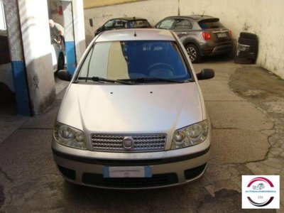 Fiat Punto Classic 1.2 5 porte Active (3)