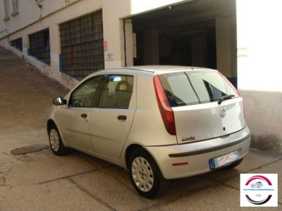 Fiat Punto Classic 1.2 5 porte Active (4)