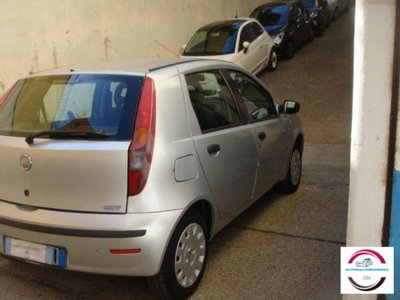 Fiat Punto Classic 1.2 5 porte Active (5)