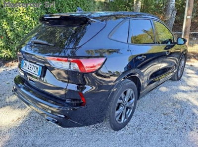 Ford Kuga 2.0 EcoBlue 120 CV aut. 2WD ST-Line X (4)