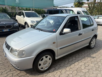 Volkswagen Polo 1.4 cat 5 porte usata