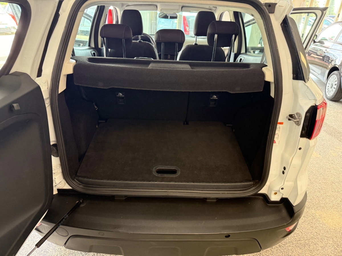 Ford EcoSport 1.5 TDCi 100 CV Start&Stop Plus (11)