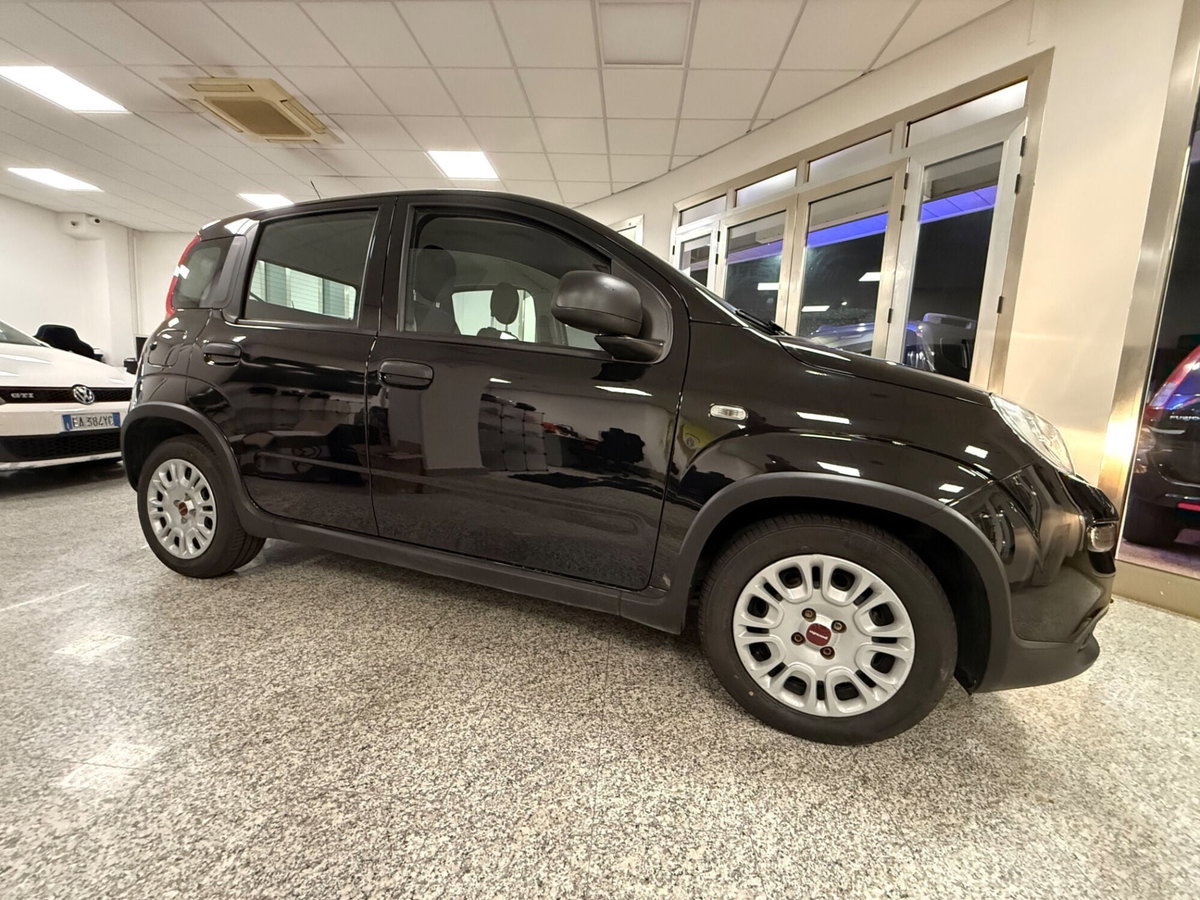 Fiat Panda 1.0 FireFly S&S Hybrid (10)