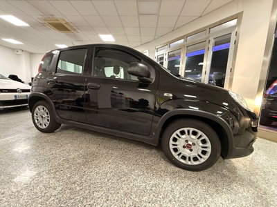 Fiat Panda 1.0 FireFly S&S Hybrid (10)