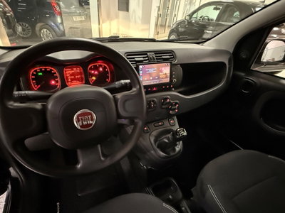 Fiat Panda 1.0 FireFly S&S Hybrid (14)