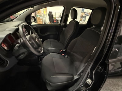 Fiat Panda 1.0 FireFly S&S Hybrid (15)