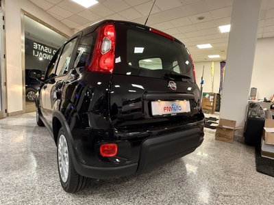 Fiat Panda 1.0 FireFly S&S Hybrid (8)