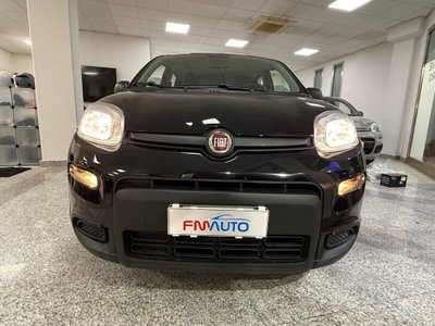 Fiat Panda 1.0 FireFly S&S Hybrid (9)