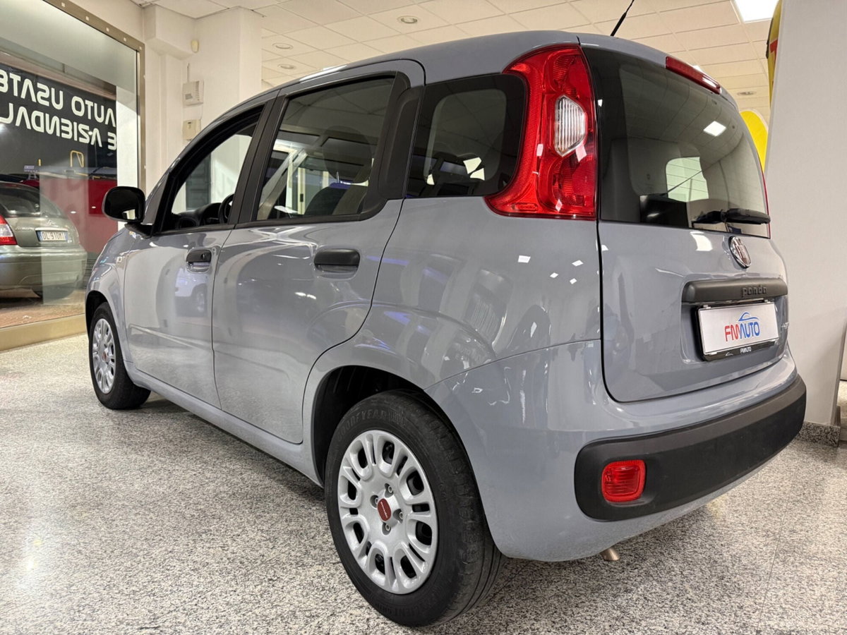 Fiat Panda 1.0 FireFly S&S Hybrid (3)