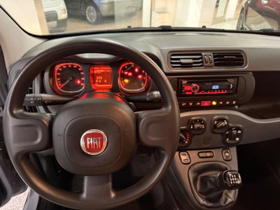 Fiat Panda 1.0 FireFly S&S Hybrid (8)