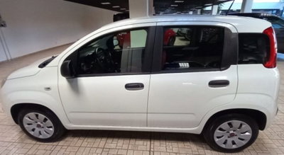Fiat Panda 1.2 Pop (3)