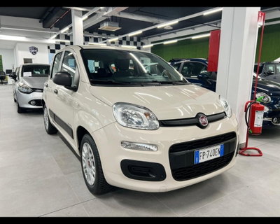 Fiat Panda 1.2 Easy usata