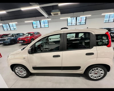 Fiat Panda 1.2 Easy (5)