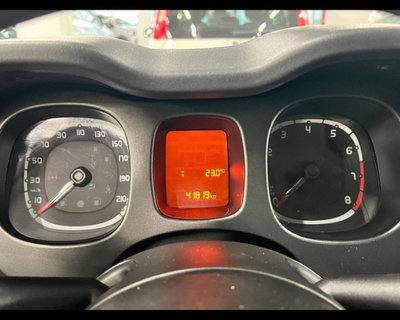 Fiat Panda Cross Cross 1.0 FireFly S&S Hybrid (9)