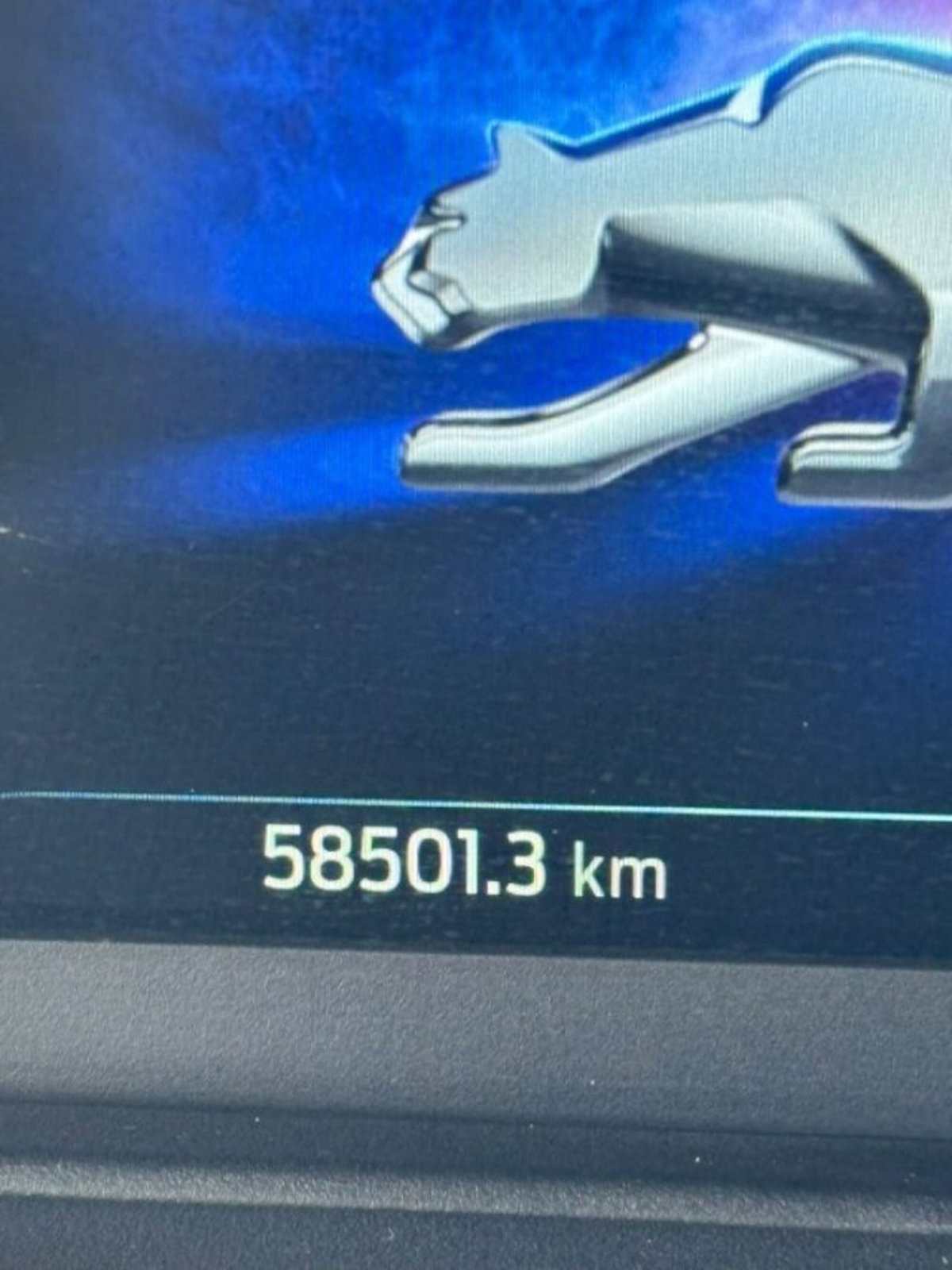 Ford Puma 1.0 EcoBoost Hybrid 125 CV S&S ST-Line Design 2 (10)