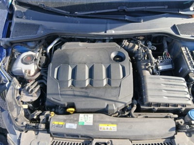SEAT Ibiza 1.6 TDI 95 CV 5 porte Business (19)
