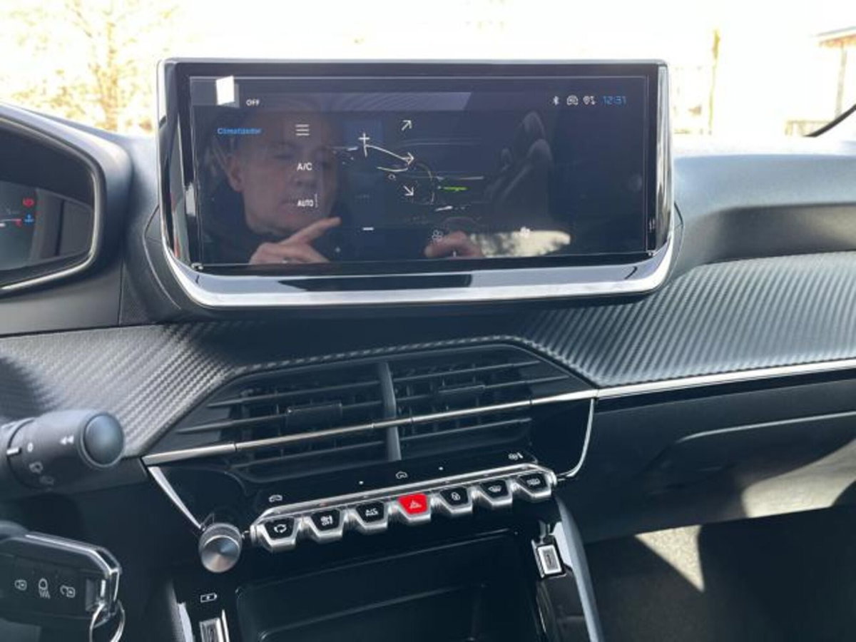 Peugeot 208 1.2 puretech Active s&s 100cv (6)