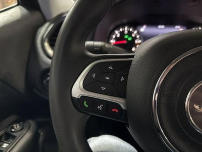 Jeep Renegade 1.6 Mjt 130 CV Limited (15)