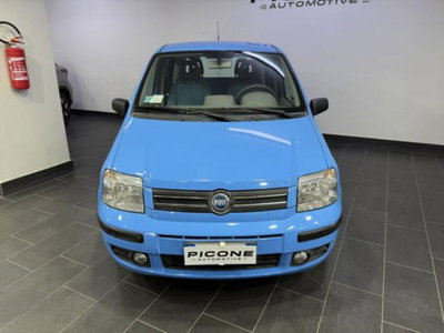 Fiat Panda 1.2 Dynamic (2)