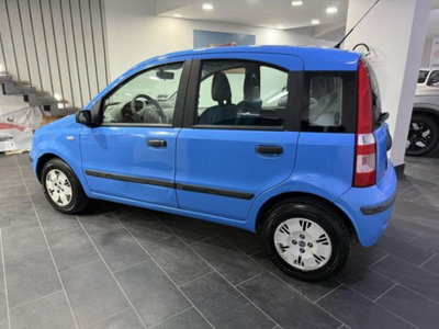 Fiat Panda 1.2 Dynamic (7)