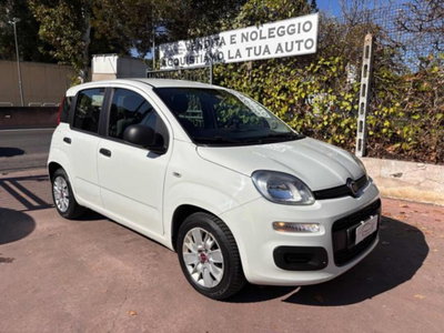 Fiat Panda 1.2 Easy usata