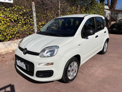 Fiat Panda 1.2 Easy (3)