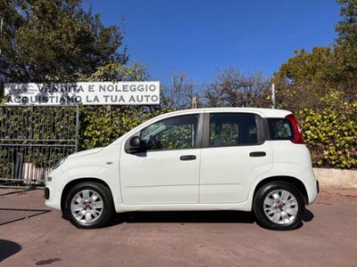 Fiat Panda 1.2 Easy (4)