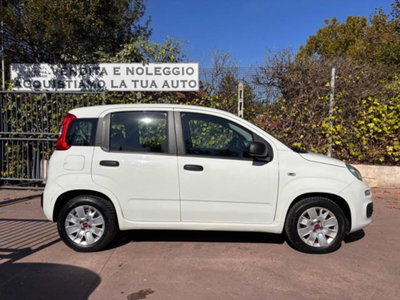 Fiat Panda 1.2 Easy (5)