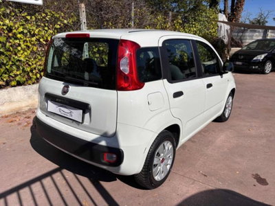 Fiat Panda 1.2 Easy (8)