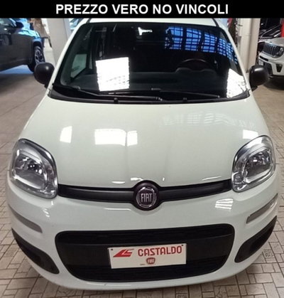 Fiat Panda 1.2 Pop usata