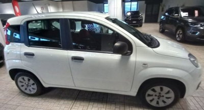 Fiat Panda 1.2 Pop (2)