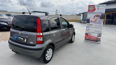 Fiat Panda 1.2 Dynamic (7)