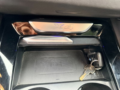 BMW X4 xDrive20i Msport (19)