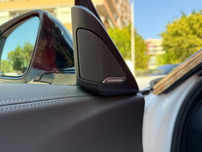 BMW Z4 Cabrio Z4 sDrive30i Msport (19)