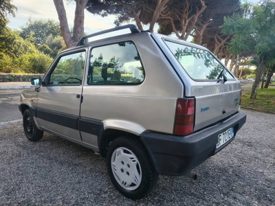 Fiat Panda 900 i.e. cat Hobby (4)
