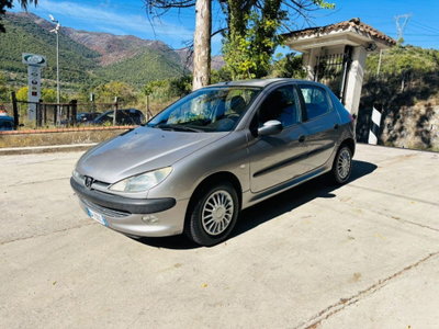 Peugeot 206 diesel 5p. XTD usata