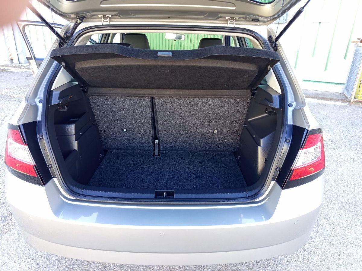 Skoda Fabia 1.4 TDI 75 CV Ambition (10)