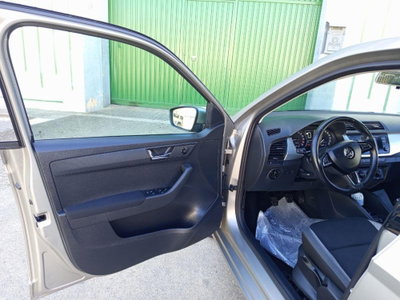 Skoda Fabia 1.4 TDI 75 CV Ambition (12)