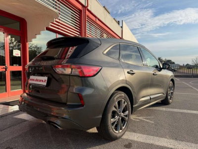Ford Kuga 1.5 EcoBlue 120 CV 2WD ST-Line (11)