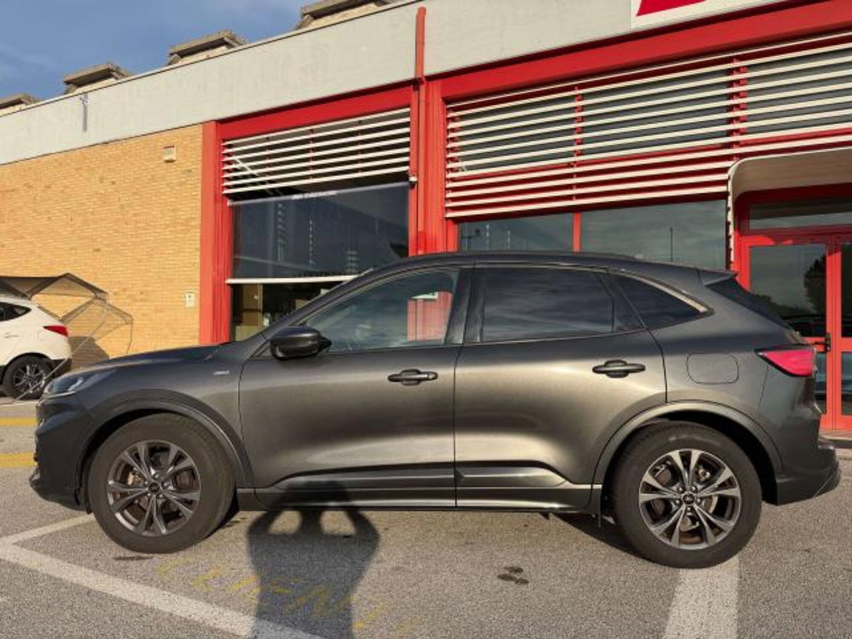Ford Kuga 1.5 EcoBlue 120 CV 2WD ST-Line (3)