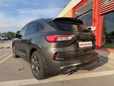 Ford Kuga 1.5 EcoBlue 120 CV 2WD ST-Line (5)