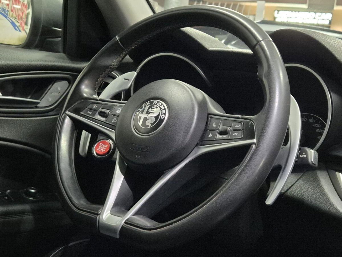 Alfa Romeo Stelvio Stelvio 2.2 Turbodiesel 160 CV AT8 RWD Sprint (16)