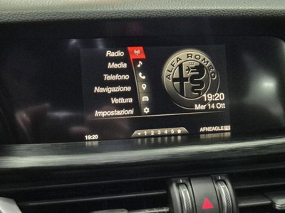 Alfa Romeo Stelvio Stelvio 2.2 Turbodiesel 160 CV AT8 RWD Sprint (20)
