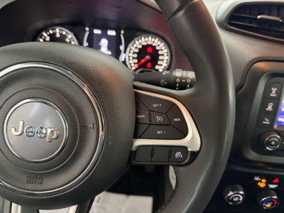 Jeep Renegade 1.6 Mjt 130 CV Longitude (13)