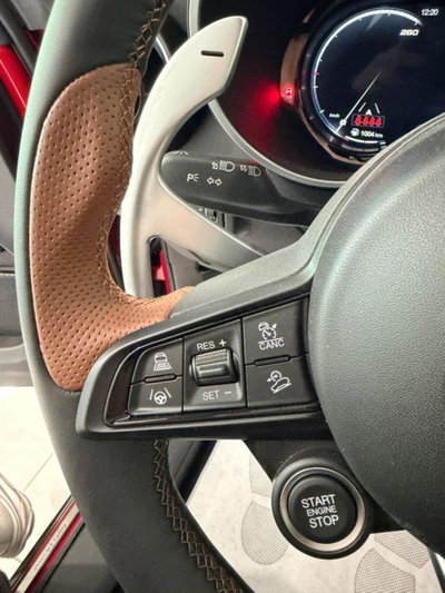 Alfa Romeo Stelvio Stelvio 2.2 Turbodiesel 210 CV AT8 Q4 GT Junior (13)