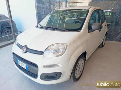 Fiat Panda 1.0 firefly hybrid s&s 70cv 5p.ti (2)