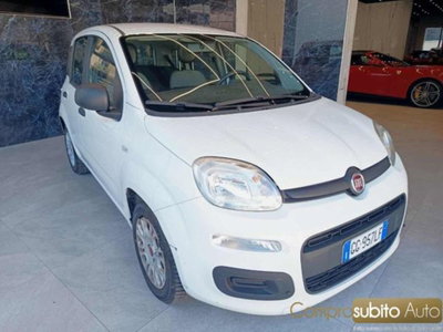 Fiat Panda 1.0 firefly hybrid s&s 70cv 5p.ti (3)