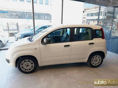 Fiat Panda 1.0 firefly hybrid s&s 70cv 5p.ti (4)