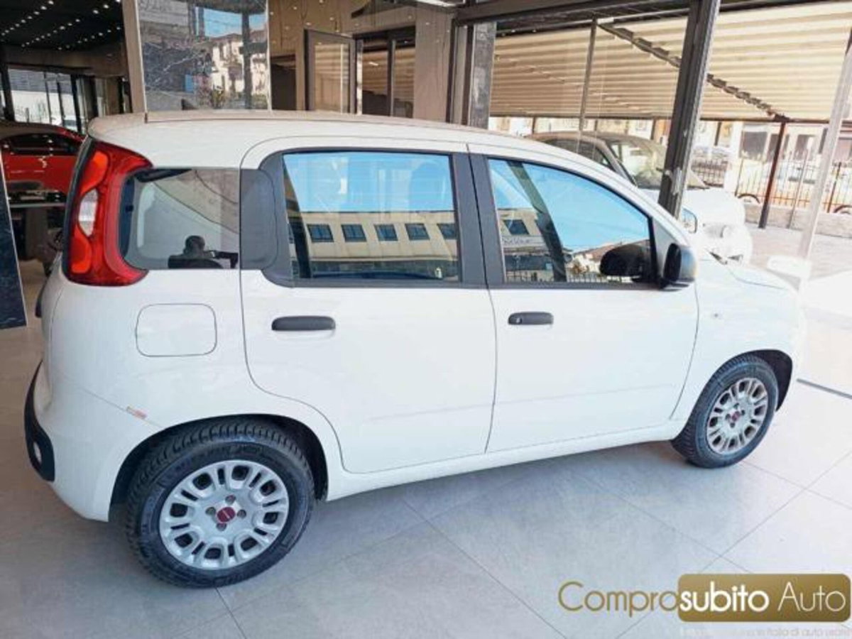 Fiat Panda 1.0 firefly hybrid s&s 70cv 5p.ti (5)